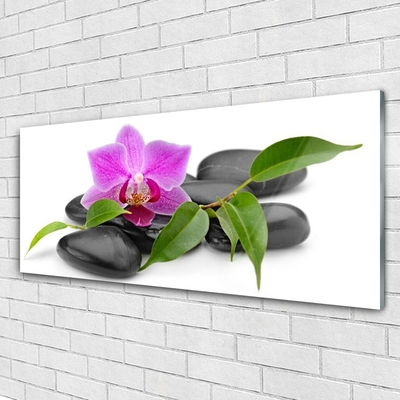 Cuadro en vidrio Flor orquídea arte