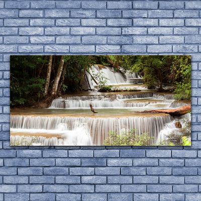 Cuadro en vidrio Salto del agua bosque naturaleza