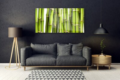 Cuadro en vidrio Bambú planta naturaleza