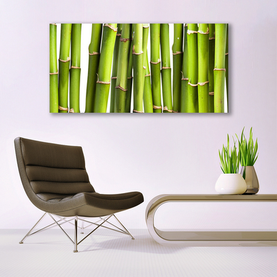 Cuadro en vidrio Bambú planta naturaleza