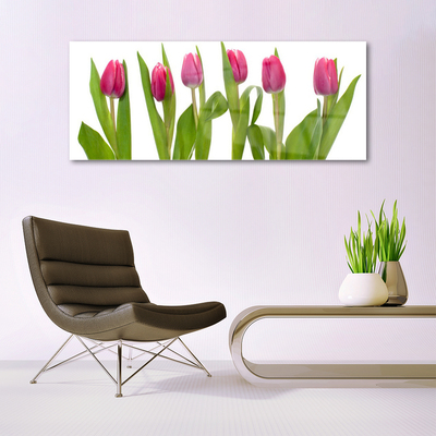 Cuadro en vidrio Tulipanes flores planta