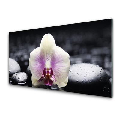 Cuadro en vidrio Flor orquídea planta