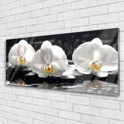 Cuadro en vidrio Flor orquídea blanca