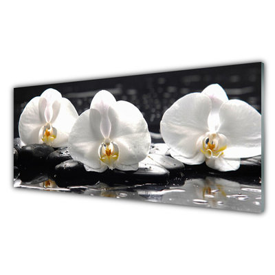 Cuadro en vidrio Flor orquídea blanca