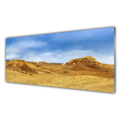 Cuadro en vidrio Desierto colina paisaje