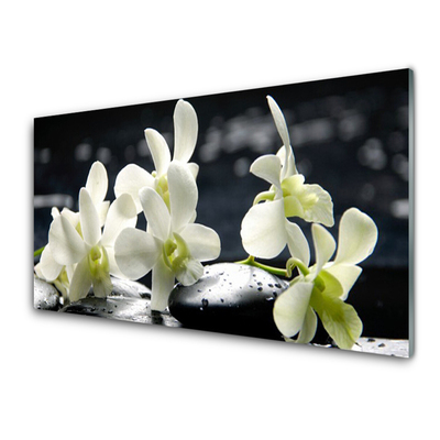 Cuadro en vidrio Flor orquídea planta