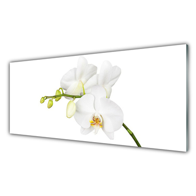 Cuadro en vidrio Orquídea flores naturaleza