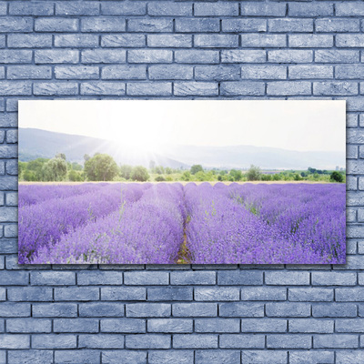 Cuadro en vidrio Campo de lavanda naturaleza prado