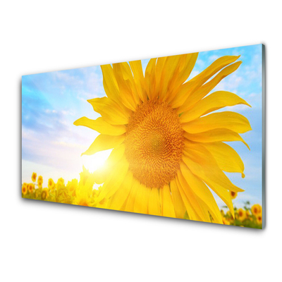 Cuadro en vidrio Girasol flor sol
