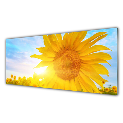 Cuadro en vidrio Girasol flor sol