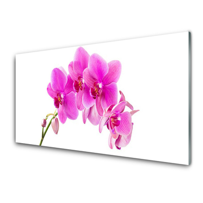 Cuadro en vidrio Orquídea flor orquídea