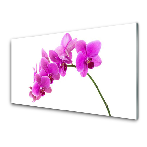 Cuadro en vidrio Orquídea flor orquídea