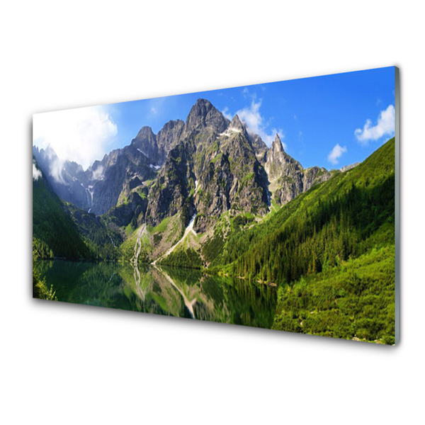 Cuadro en vidrio Tatras monte morskie oko lago bosque