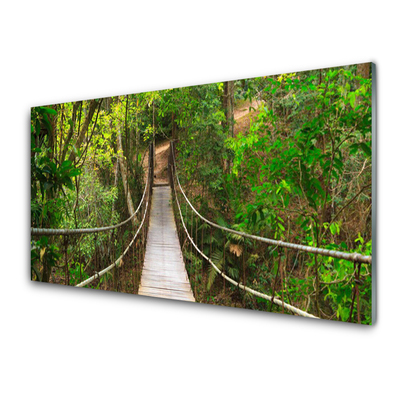 Cuadro en vidrio Puente jungla bosque tropical