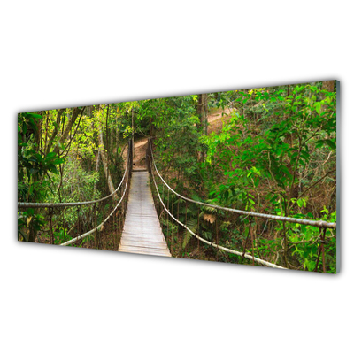 Cuadro en vidrio Puente jungla bosque tropical