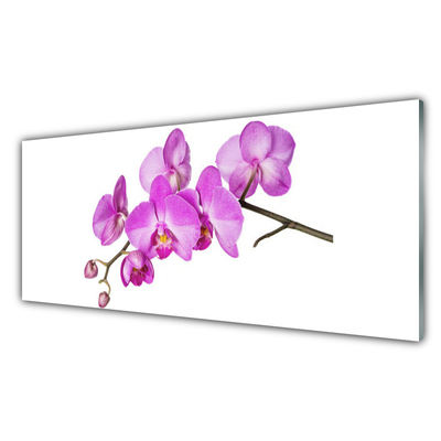 Cuadro en vidrio Orquídea flores