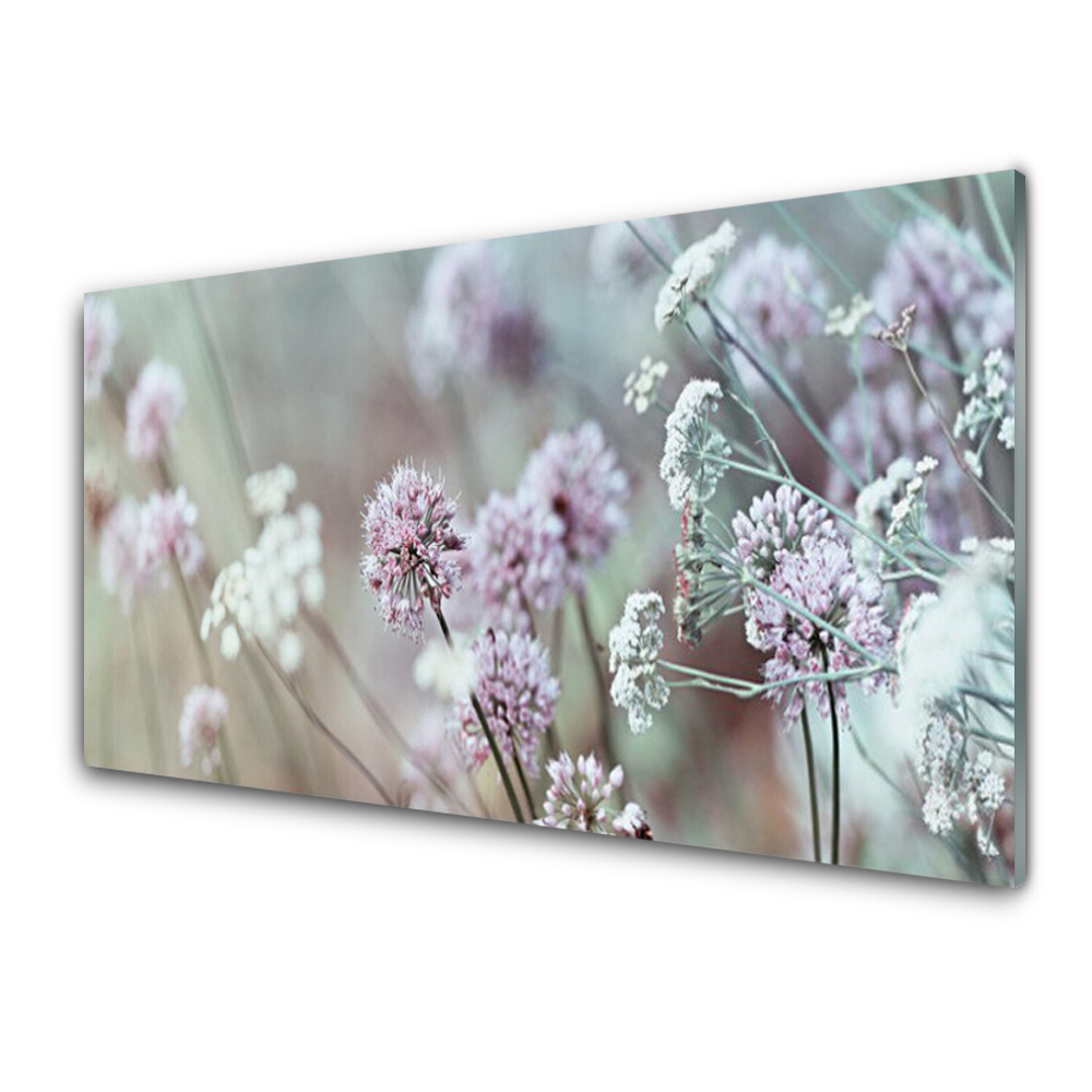Cuadro en vidrio Flores silvestres prado naturaleza