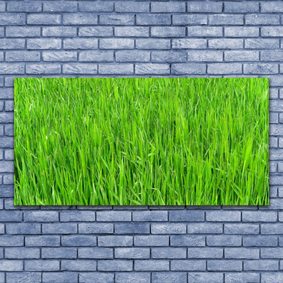 Cuadro en vidrio Hierba verde naturaleza césped