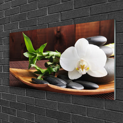 Cuadro en vidrio Bambú zen orquídea blanca