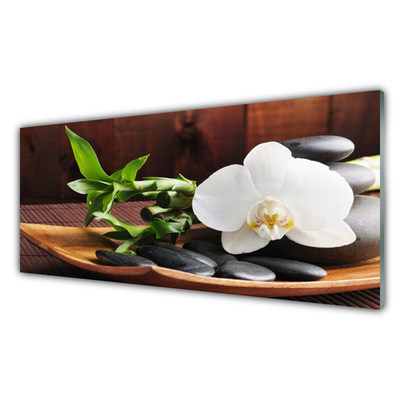 Cuadro en vidrio Bambú zen orquídea blanca