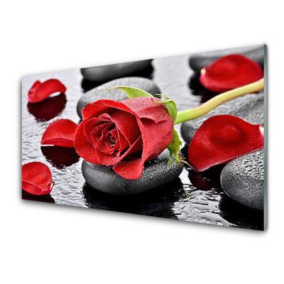 Cuadro en vidrio Rosa roja flor