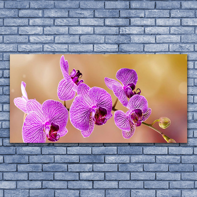 Cuadro en vidrio Orquídea brotes flores naturaleza