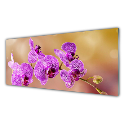 Cuadro en vidrio Orquídea brotes flores naturaleza