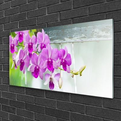 Cuadro en vidrio Orquídeas gotas naturaleza