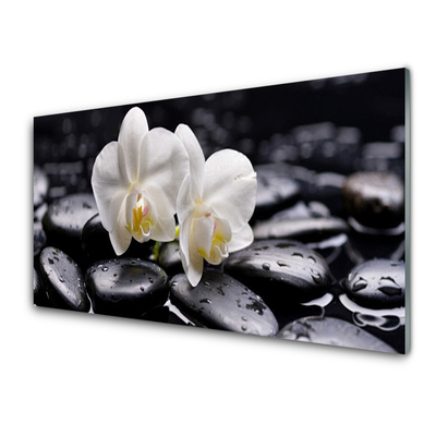Cuadro en vidrio Zen orquídea blanca spa