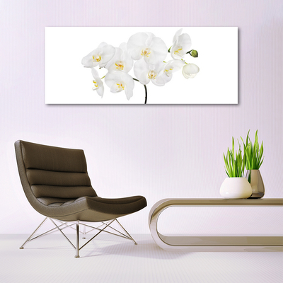 Cuadro en vidrio Orquidea blanca flores