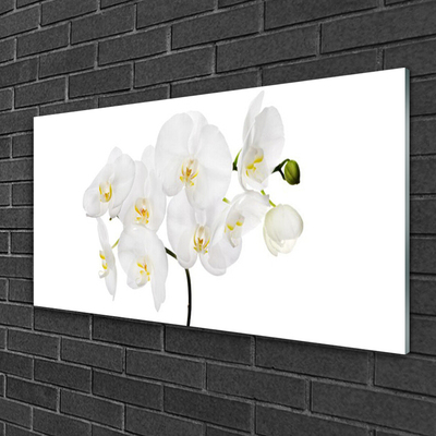 Cuadro en vidrio Orquidea blanca flores