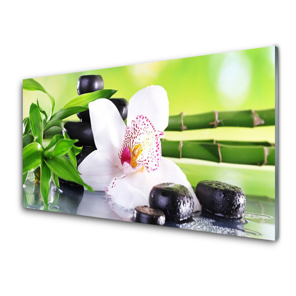Cuadro en vidrio Orquídea bambú hojas
