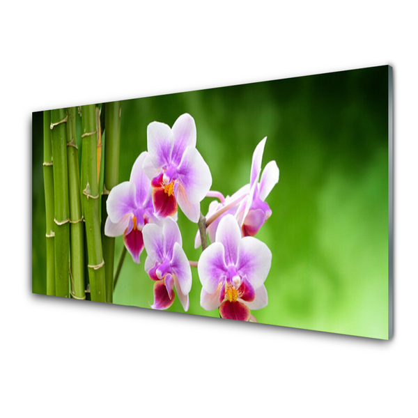 Cuadro en vidrio Bambú orquídea flores zen