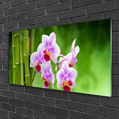 Cuadro en vidrio Bambú orquídea flores zen
