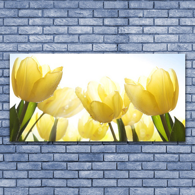 Cuadro en vidrio Tulipanes flores rayos