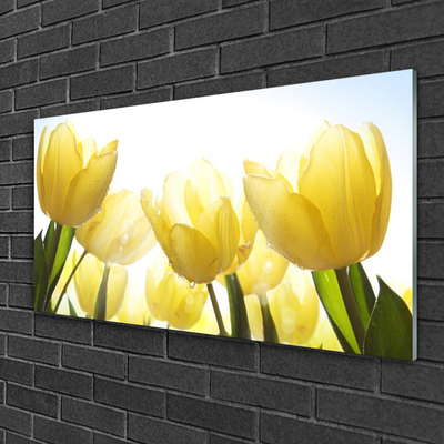 Cuadro en vidrio Tulipanes flores rayos