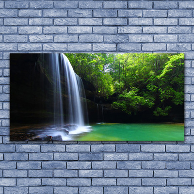 Cuadro en vidrio Salto de agua naturaleza bosque lago