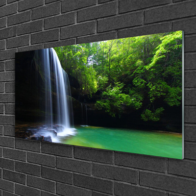 Cuadro en vidrio Salto de agua naturaleza bosque lago