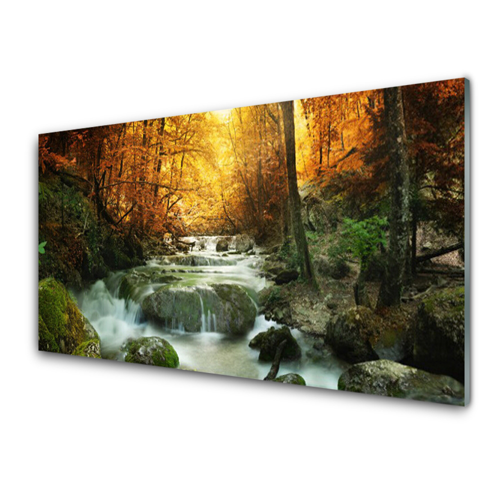 Cuadro en vidrio Salto de agua naturaleza bosque otoño
