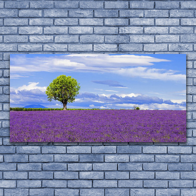 Cuadro en vidrio Campo de lavanda árbol naturaleza