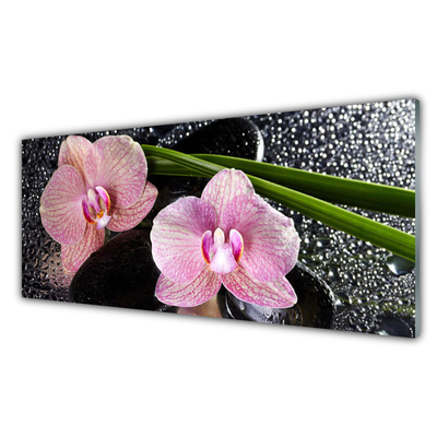 Cuadro en vidrio Flores orquídea zen