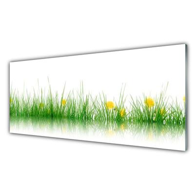 Cuadro en vidrio Naturaleza hierba flores
