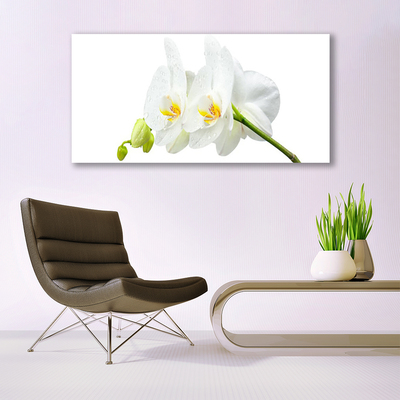 Cuadro en vidrio Pétalos flor orquídea blanca
