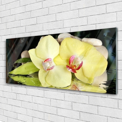 Cuadro en vidrio Pétalos de flor orquídea