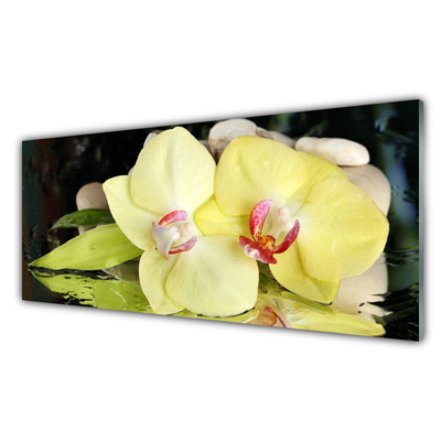 Cuadro en vidrio Pétalos de flor orquídea