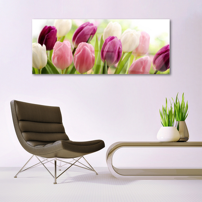 Cuadro en vidrio Tulipanes flores naturaleza prado