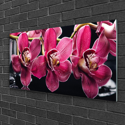 Cuadro en vidrio Flores orquídea brotes naturaleza