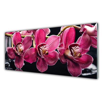 Cuadro en vidrio Flores orquídea brotes naturaleza