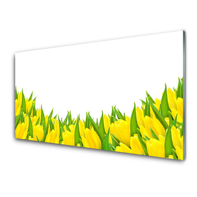 Cuadro en vidrio Flores naturaleza tulipanes