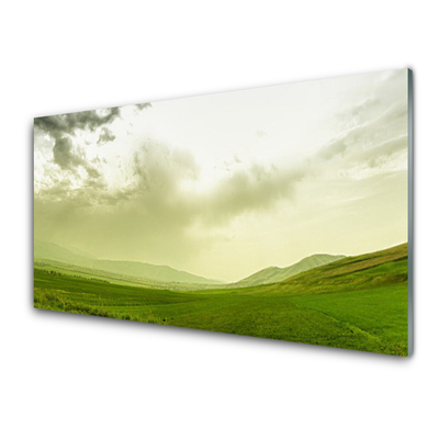 Cuadro en vidrio Prado naturaleza verde vistas